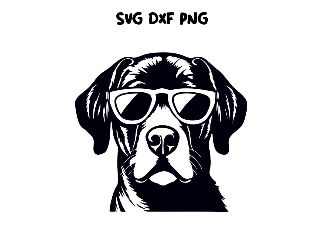 Labrador Svg File, Dog With Glasses Svg, Dog Cut File, Dog Svg File