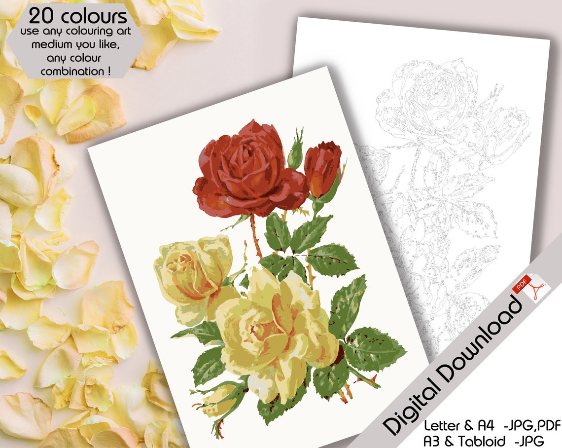Printable Paint by Numbers / Paint by Number Rose / Adult Colouring