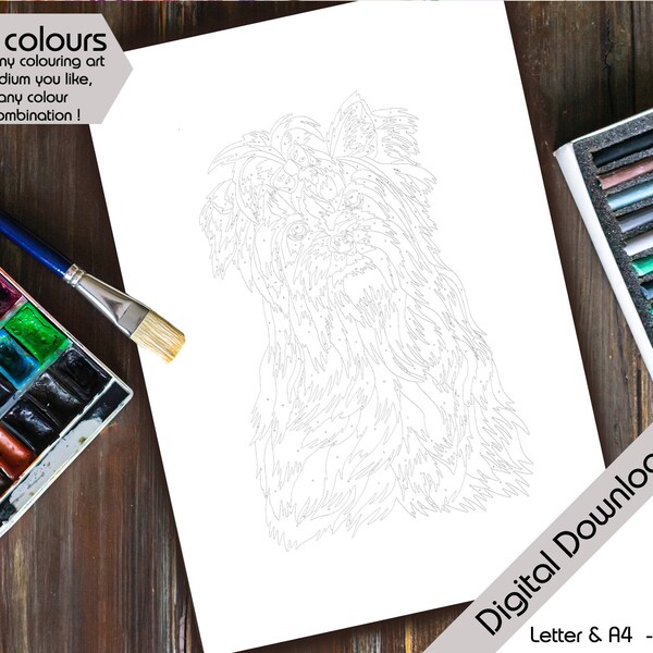 Paint by Numbers for Adults Etsy