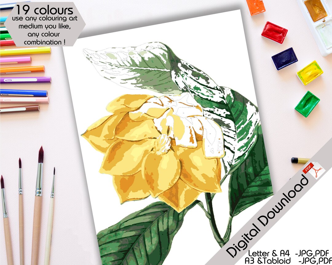 Printable Paint by Number Floral / Paint by Number Botanical Vintage ...