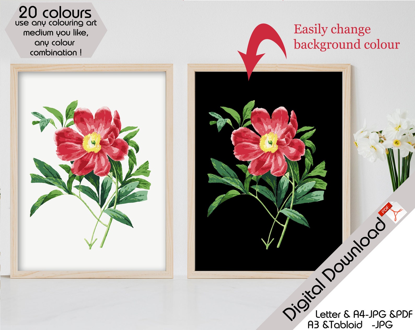 Color by Numbers Kit. Adult Paint by Numbers. Paint by Number Etsy