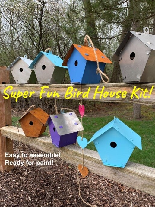 9 DIY Bird House Kits For Children to Build - Wood Birdhouse Kits For Kids  to Paint - Unfinished Wood Bird Houses to Paint for Kids - Wood Craft  Project Kits 