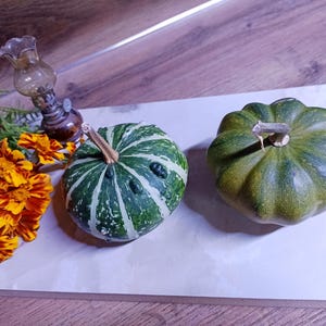 Handgrown Decorative Gourds Set of 2, Natural Dried Fall Decor (5cm Tall)