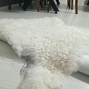 Natural Genuine Sneepskin Rug, Sheepskin Rug, Curly Rug, Fur Rug, Leather Carpet, Christmas Gift, Home Accessories, Rustic Home Decor