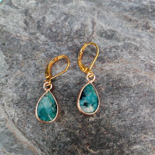 Stainless steel earrings and faceted semi-precious jasper stones