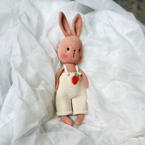 Bunnito - Amigurumi Englisch PDF Pattern