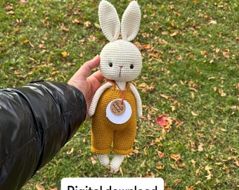 Crochet Amigurumi Bunny Pattern with Removable Outfit – Crochet PDF