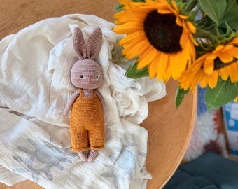 Crochet Bunny Amigurumi, Handmade Bunny Doll, Stuffed Animal