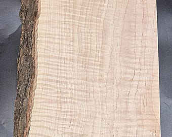 Live Edge Curly Maple Board – Ideal for Custom Woodwork