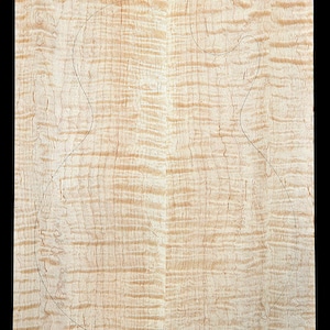 Carve top 4a curly maple - glued up - discounted for flaw on back