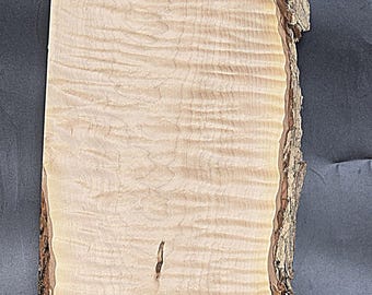Live Edge Curly Maple Board – Ideal for Custom Woodwork