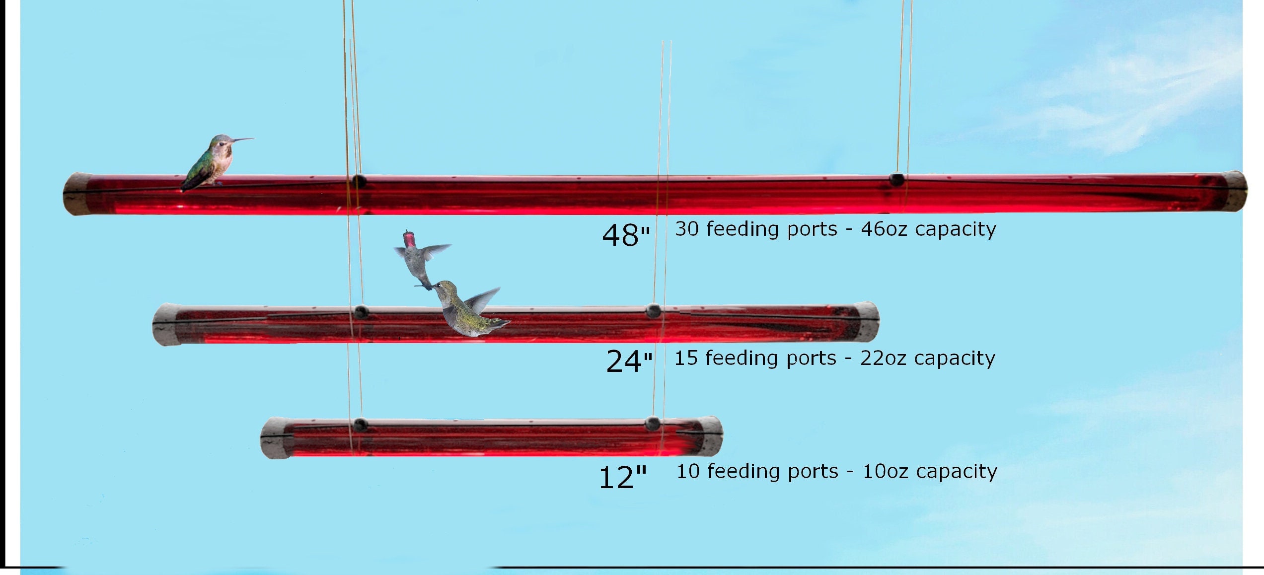 Anna's Best Hummingbird Feeders Etsy