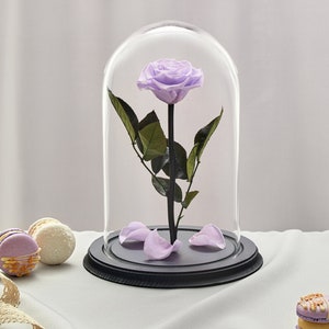 Preserved Purple Rose in Glass Dome – Eternal Flower Gift, Handmade Forever Rose, Romantic Home Decor, Anniversary or Birthday Gift