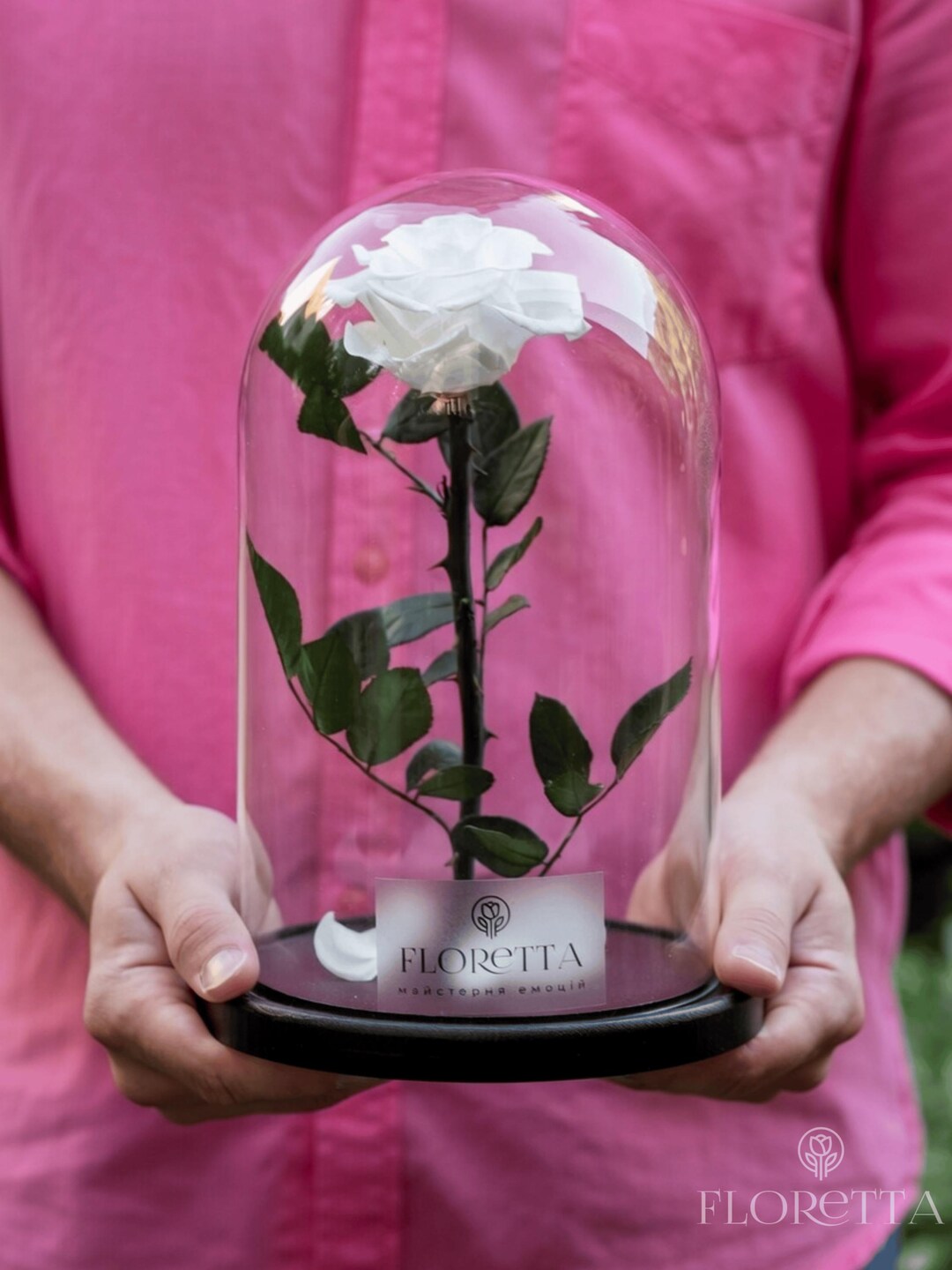 Rose In Glass Preserved White Rose in a Glass Dome - a Timeless Gift Forever - Etsy UK