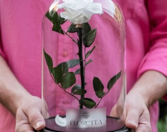 Preserved white rose in a glass dome - a timeless gift forever