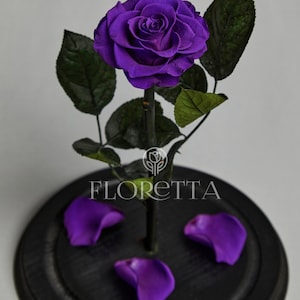 Preserved Rose in Glass Dome – Eternal Real Rose Gift for Anniversary, Birthday, Wedding, Valentine&#39;s Day, Home Decor, Forever Flower