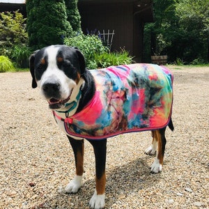 Canine Cooling wet coat