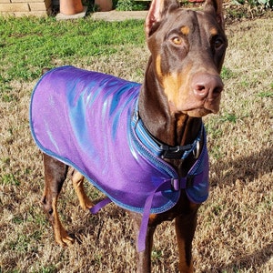 Canine Cooling wet coat