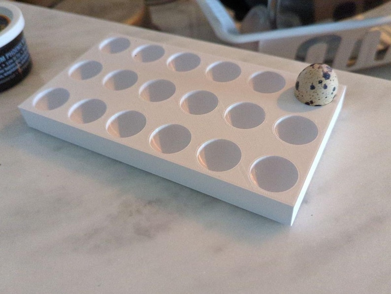 May include: A white egg carton with 20 individual compartments, one of which contains a speckled quail egg.