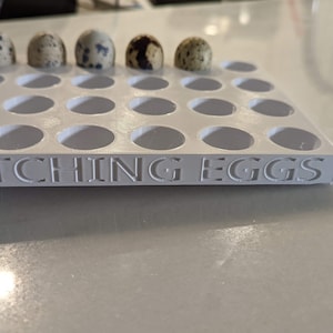 May include: White plastic egg hatching tray with the words "Hatching Eggs" printed on the front. There are five quail eggs in the tray.