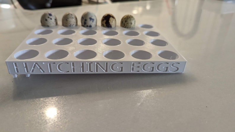May include: White plastic egg hatching tray with the words "Hatching Eggs" printed on the front. There are five quail eggs in the tray.