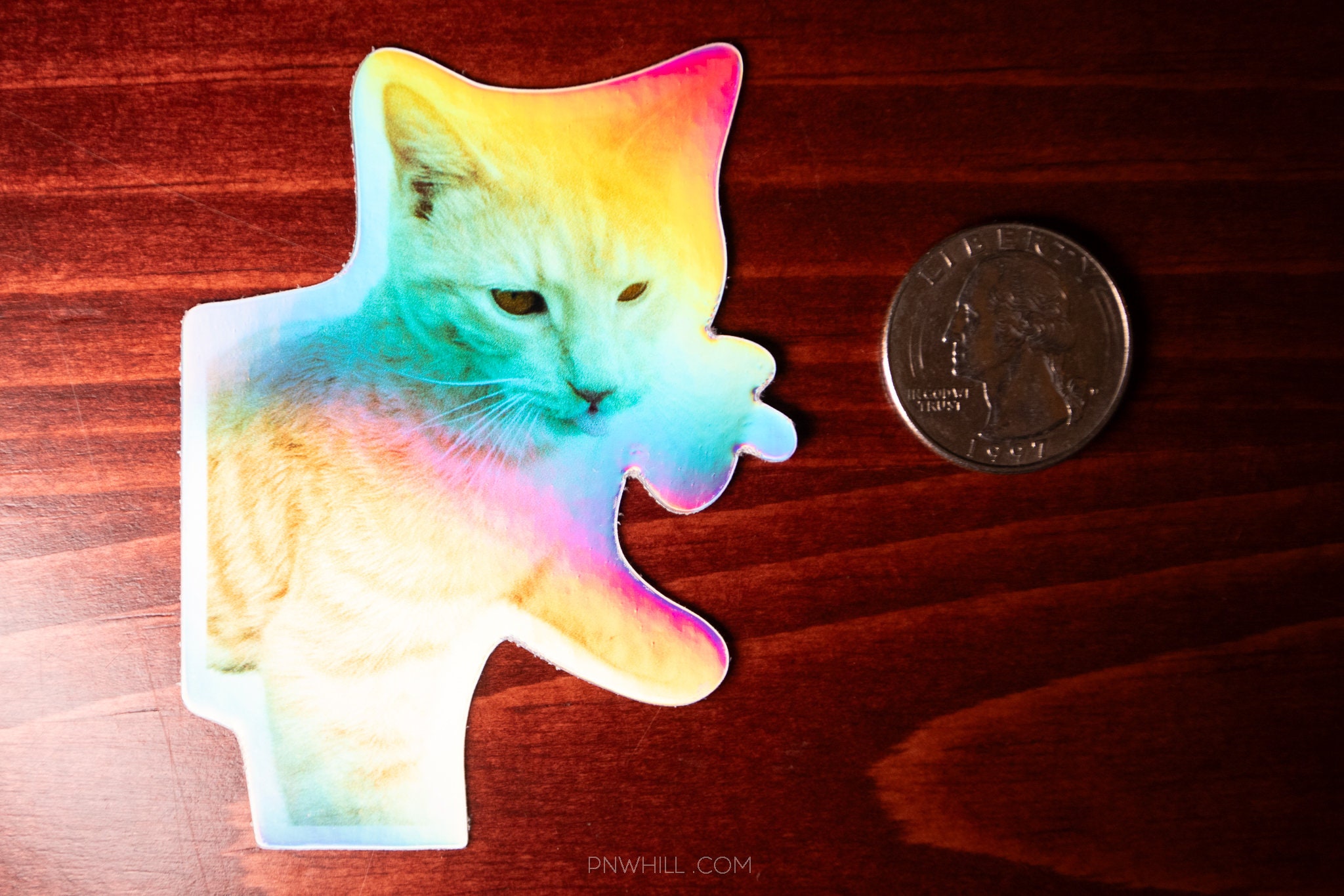 Holographic Kitty Sticker - Cute Rainbow Cat Decal for Cat Lovers and ...