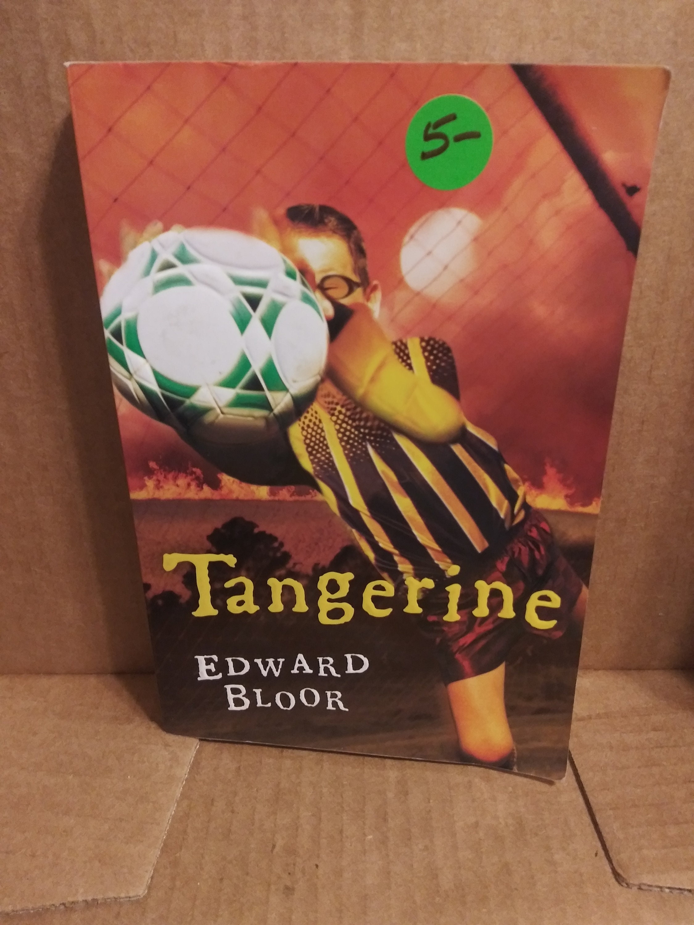Tangerine Paperback September 1 2006 by Edward Bloor Etsy