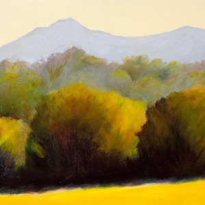 Mount Tamalpais and Trees
