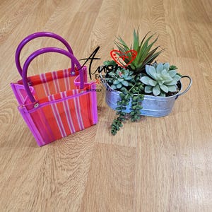 Puede incluir: Una bolsa de mano a rayas rosas y naranjas con asas moradas se encuentra junto a una jardinera de metal llena de suculentas. La bolsa tiene forma rectangular y un ribete morado a juego. La jardinera tiene un acabado plateado y dos asas pequeñas.