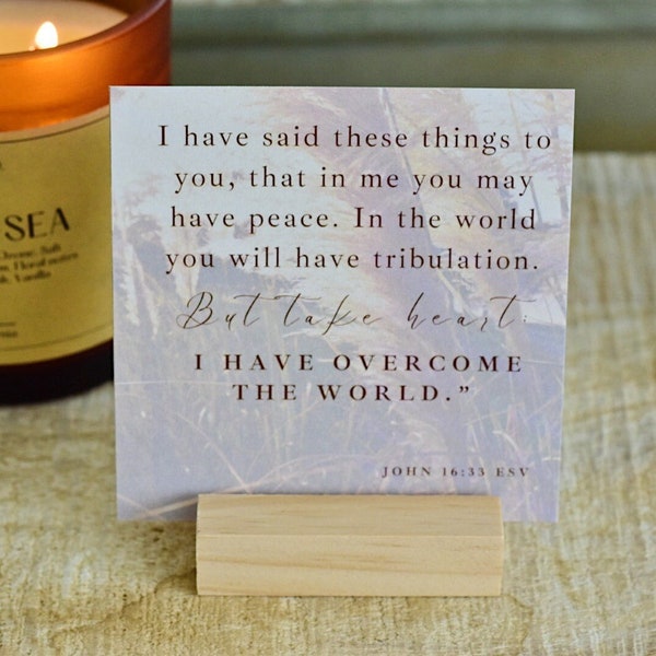 Scripture Cards | Encouraging Verse Cards | Scripture Card Set of 12 | Gifts for Christian Women | Women's Retreat | Women's Conference