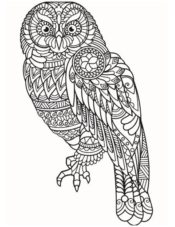Animal Coloring Pages | Etsy