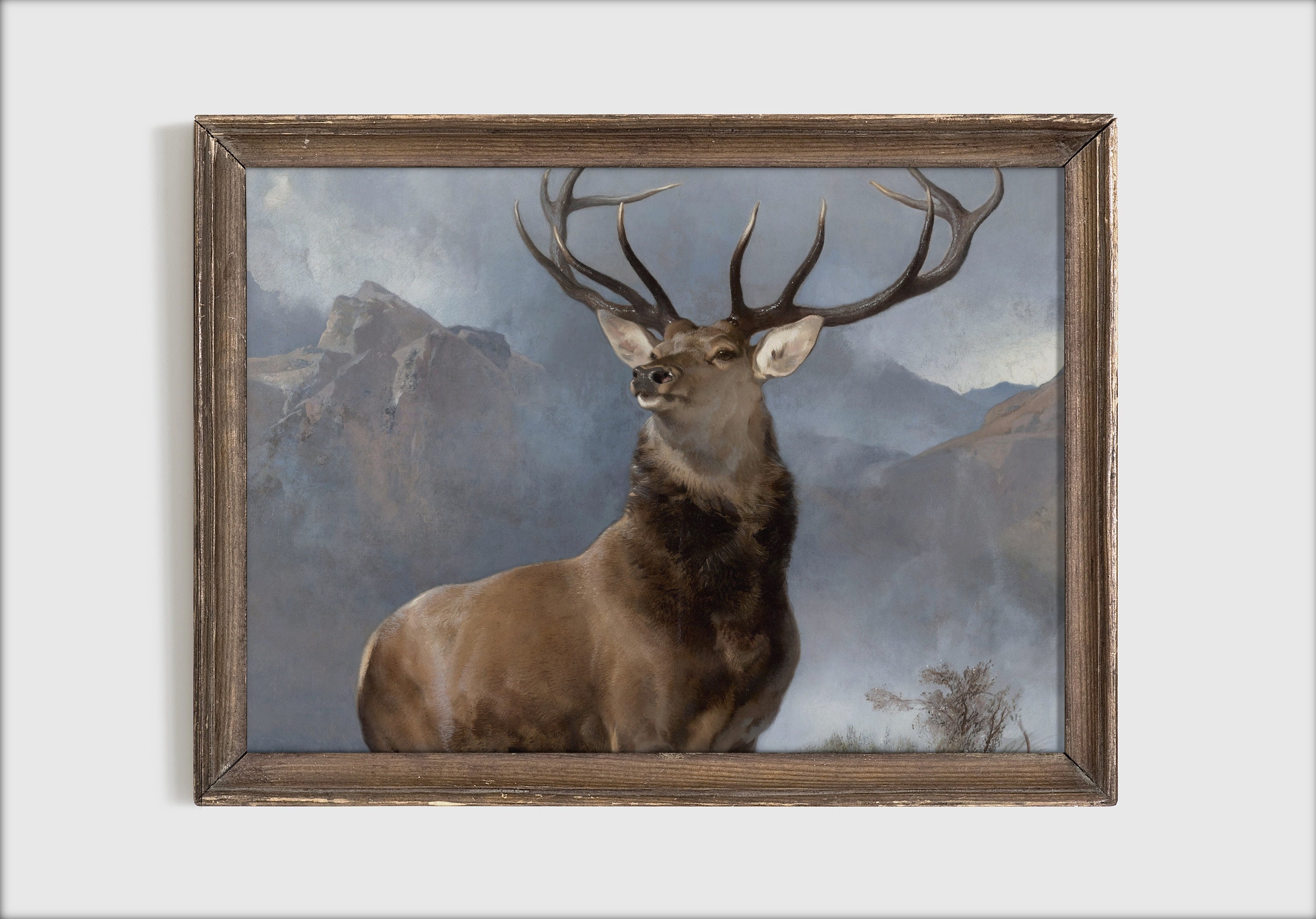 bild hirsch vintage