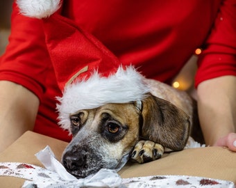 SOMBRERO DE NAVIDAD PARA PERROS, Sombrero de Papá Noel para mascotas, Sombrero de perro hecho a mano, Sombreros festivos para perros, Sombrero de perro festivo de invierno hecho a mano único, Regalo para perros