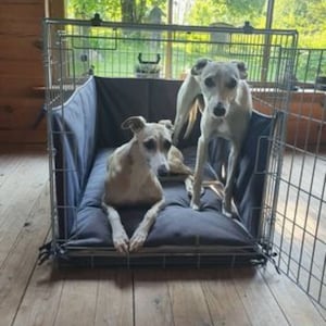 May include: Two whippet dogs inside a metal dog crate with a black padded bed. The crate has a metal door and a black fabric divider.