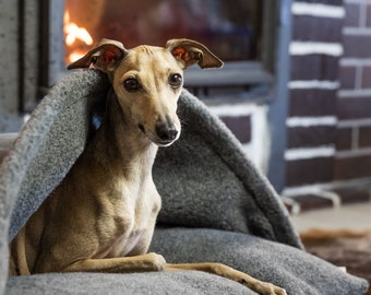 DOG SNUGGLY BED, Antiallergic,  Merino Wool Dog Bedding, Dog Pillow With Roof, Velor Dog Bed, Washable Dog Bed, Pet Bed, Dog House Indoor