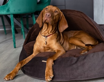 Gusta Dormir Como Hacer Que Tu Cachorro Duerma En Su Cama