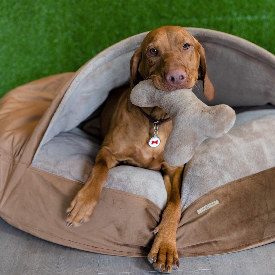 Dog Bed Cueva Perro Mediano Casa Perro CAMA CUEVA DE LUJO, Casa