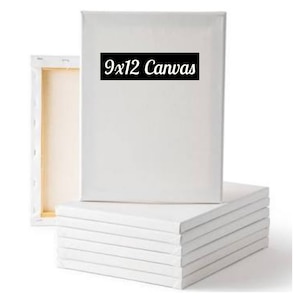 Puede incluir: Un paquete de 10 lienzos blancos de 23x30 cm, listos para pintar.