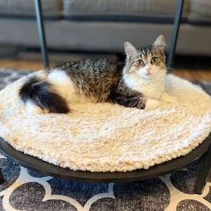 calming cat bed