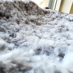 calming cat bed