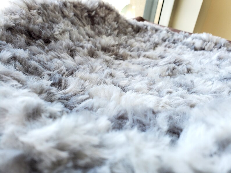 calming cat bed