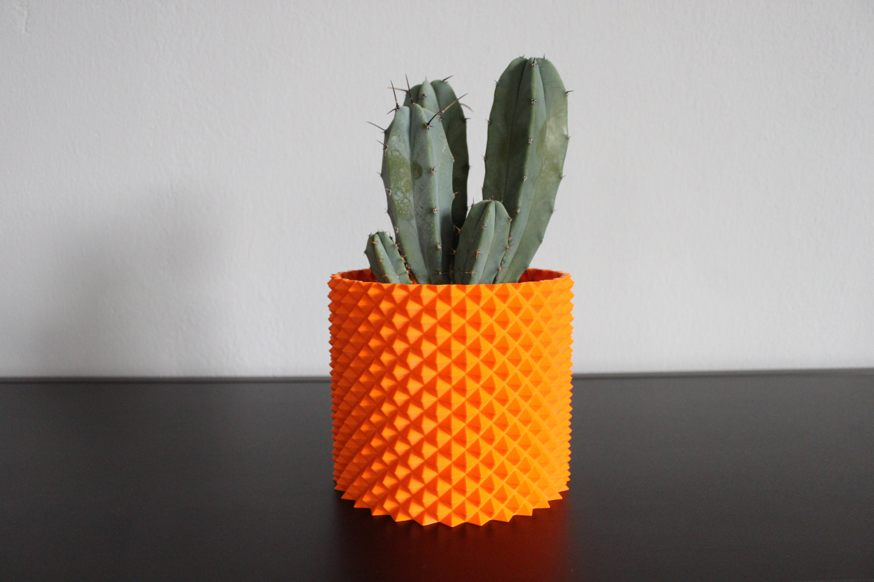 SPIKE Flower Pot 12x12x10.3 Cm Pot Cactus Vessel Design Etsy