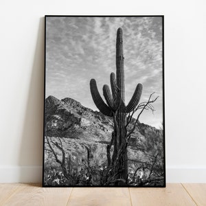 Cactus Print , Vintage Style , Black and White , Desert Photo , American Style , INSTANT DOWNLOAD