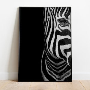 Zebra Photo Print , Zebra Print ,Black and White Photo Print , Wall Decor , Modern Art , Digital Print , INSTANT DOWNLOAD