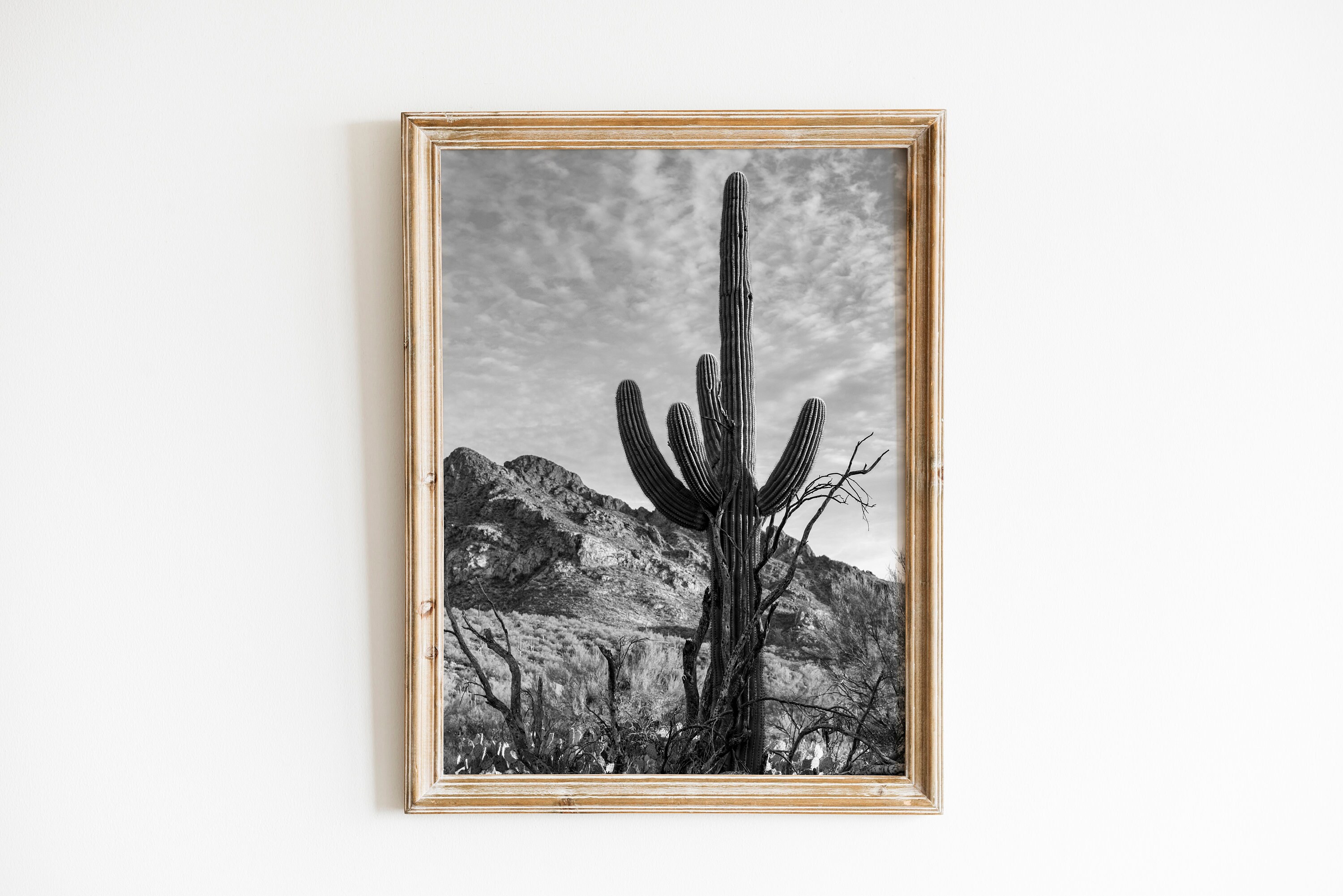 Cactus Print , Vintage Style , Black and White , Desert Photo ...