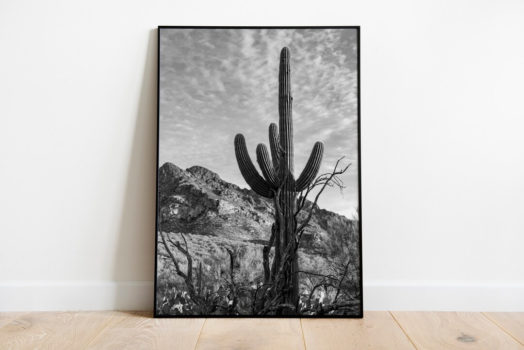 Cactus Print , Vintage Style , Black and White , Desert Photo ...