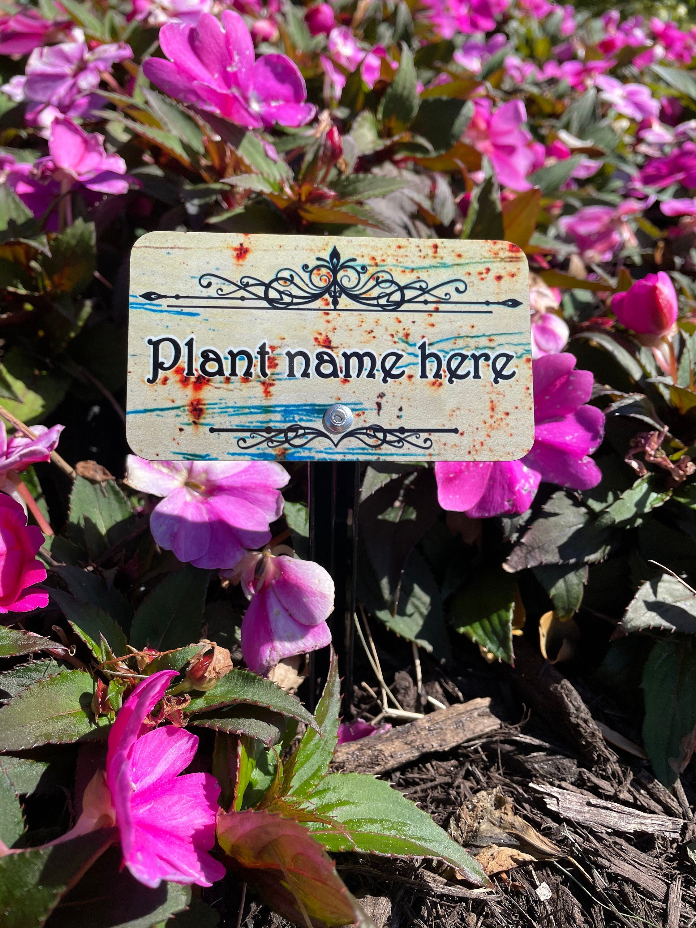 Plants Custom metal plant identification marker Brushed aluminum and chrome stake. Home & Living