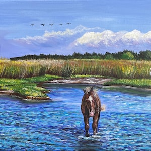 Cape Lookout, North Carolina Beach, Beaufort NC, Shackleford NC Art, Horse Beach Pony, Outer Banks, Shackleford Banks, Giclée Art Prints