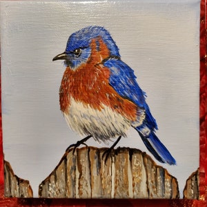 Bluebird Painting: Small Original Acrylic Bird Artwork (6x6)