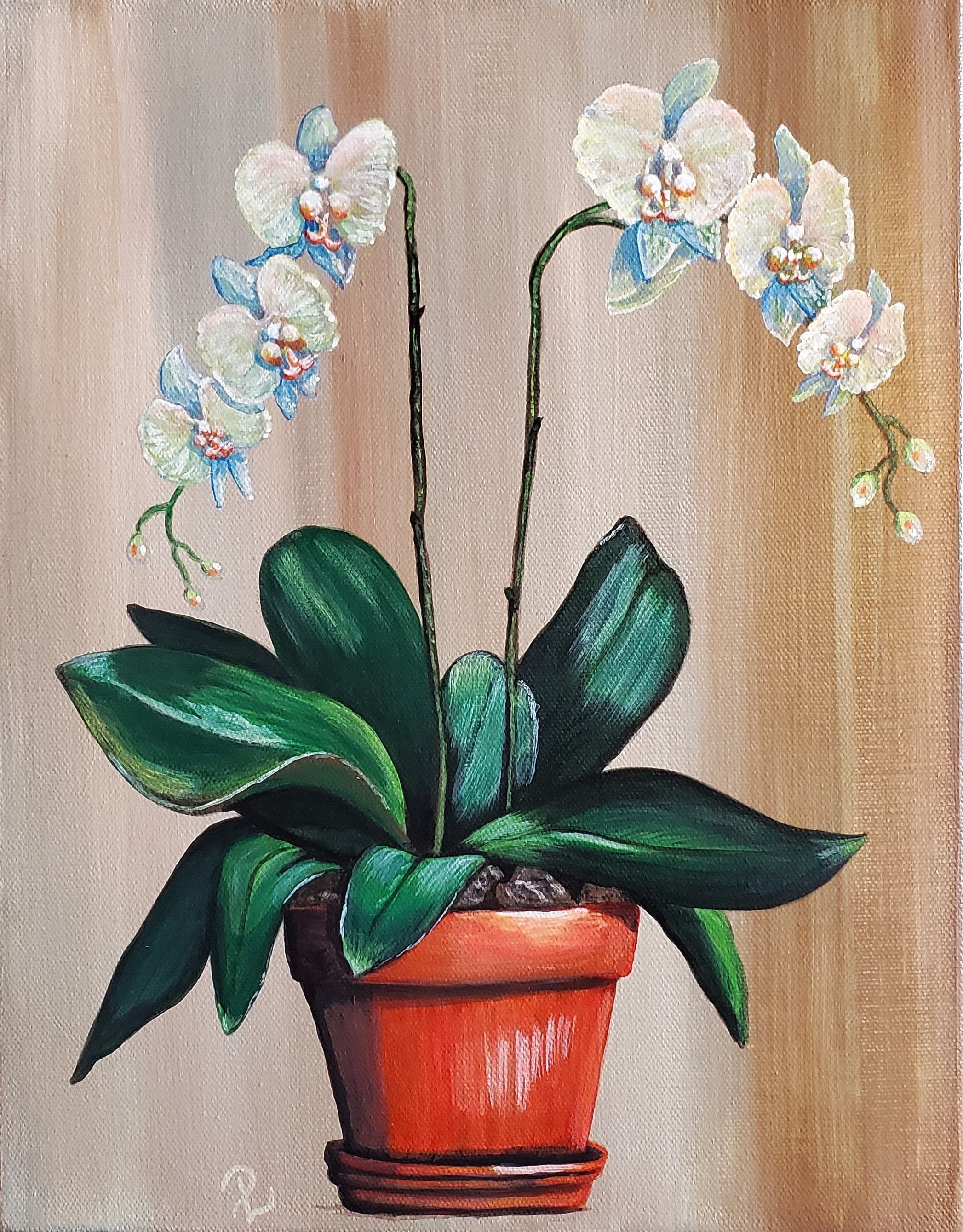 White Orchids Flowers Painting Orchid Floral Plant Pot White Etsy UK
